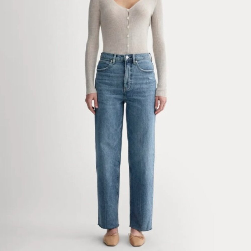 Everlane The Way-High Jean in color Distressed